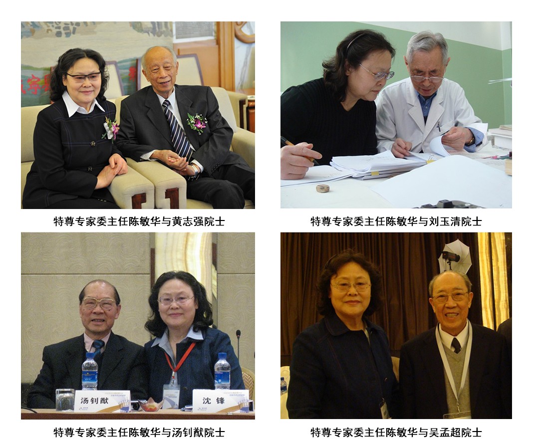 专家团队