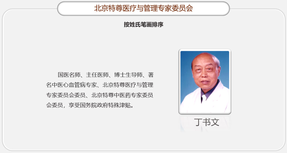 丁书文