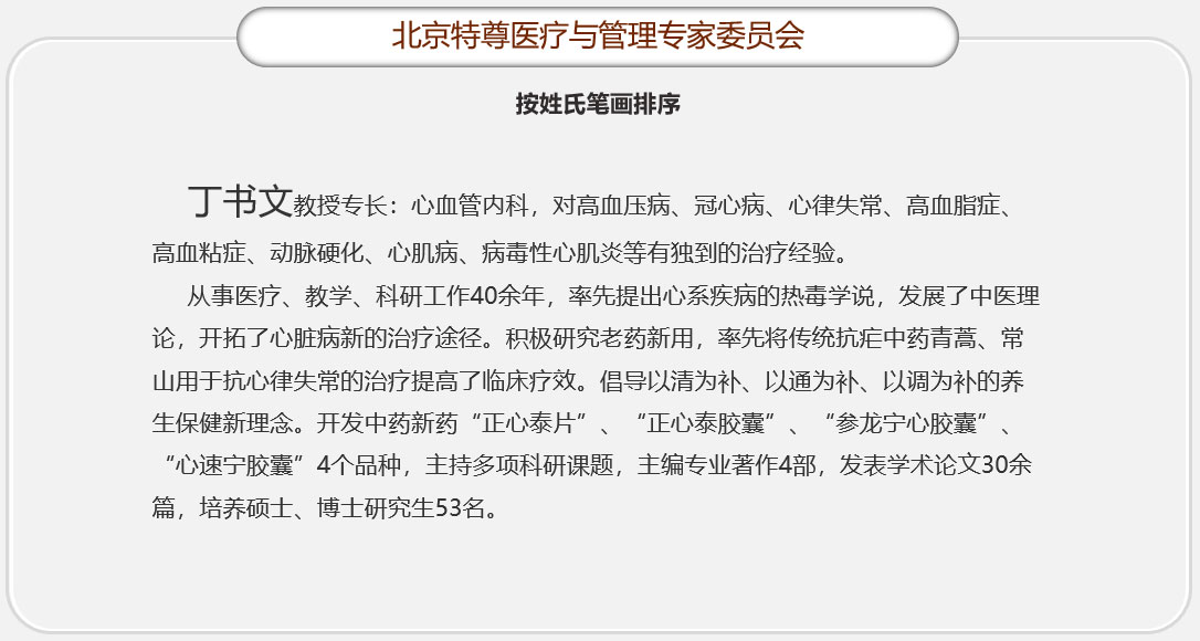 丁书文