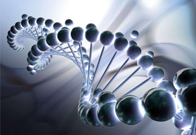 北京卫视：陈敏华金牌团队（一）