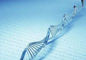  CCTV：陈敏华金牌团队（三）