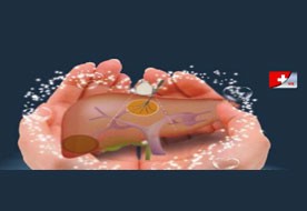 陈敏华与她的金牌团队